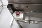 Babbco Direct Fired Tunnel Oven